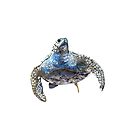 Blue Turtle Design by Kathie Nichols