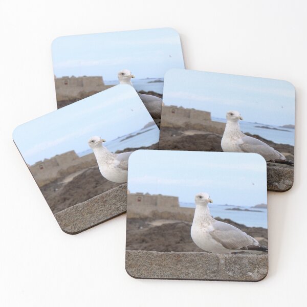 Item preview, Seagull from Saint-Malo facing the sea designed and sold by Open Road Gallery .