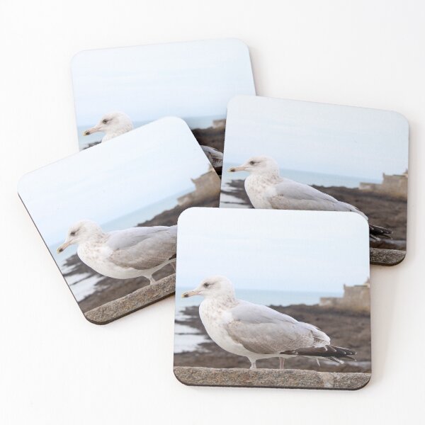 Item preview, Seagull on the ramparts – Saint-Malo designed and sold by Open Road Gallery .