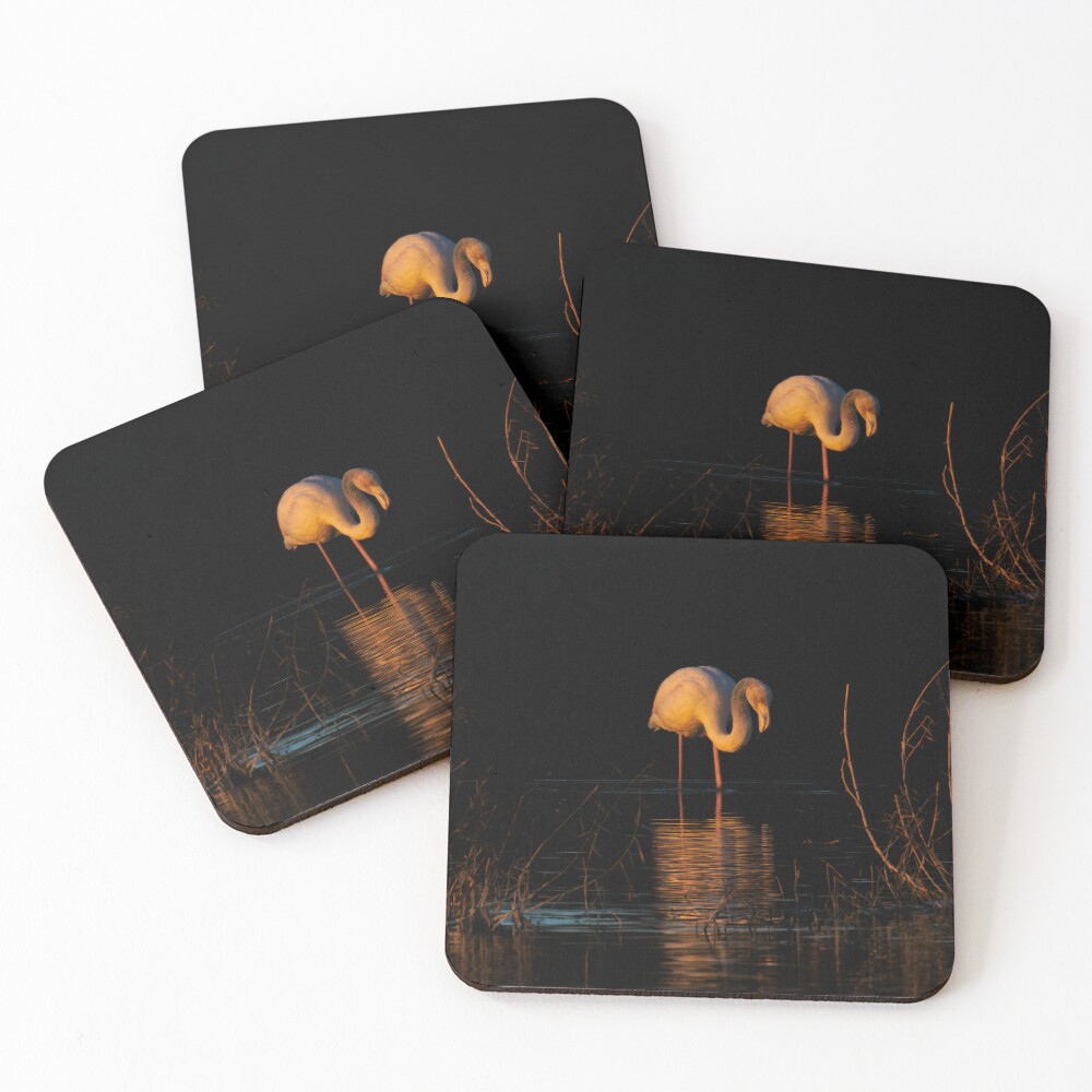 Item preview, Coasters (Set of 4) designed and sold by RalphGoldsmith.