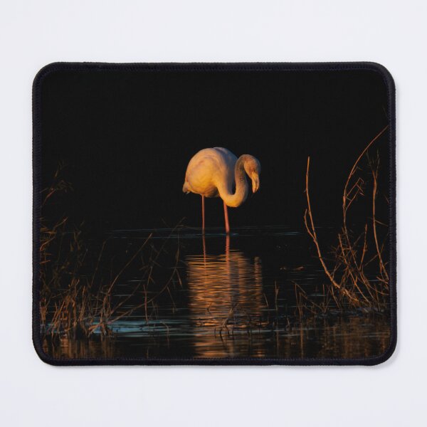 Item preview, Sunset Flamingo designed and sold by Ralph Goldsmith.