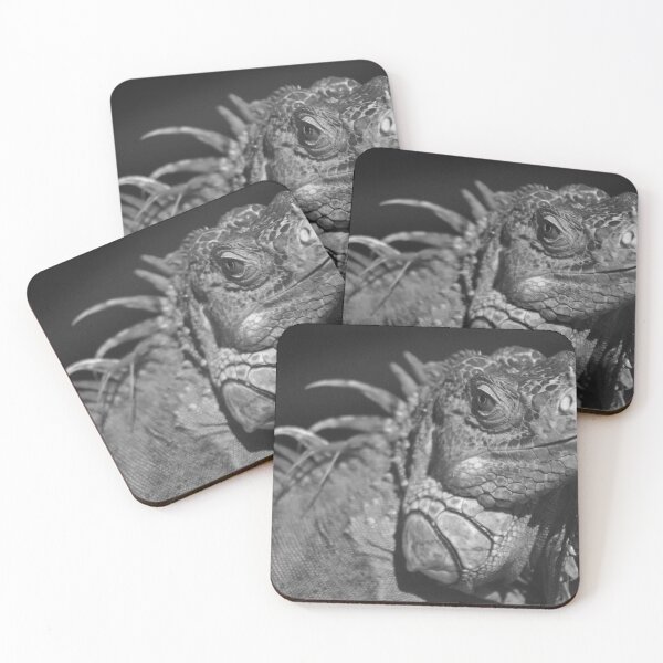 Item preview, Closeup of an Iguana in Monochrome designed and sold by MercerImages.