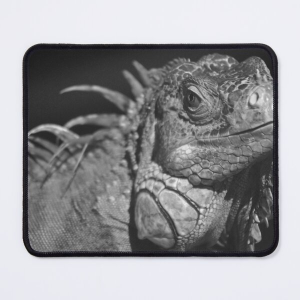 Item preview, Closeup of an Iguana in Monochrome designed and sold by MercerImages.