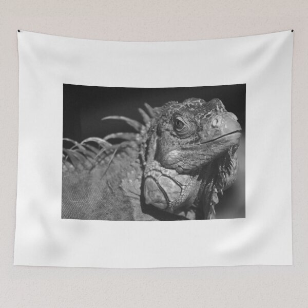 Item preview, Closeup of an Iguana in Monochrome designed and sold by MercerImages.