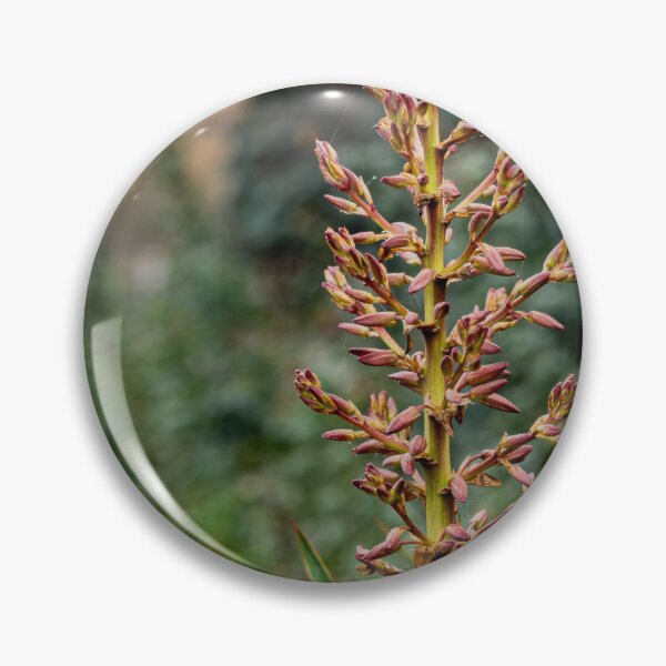 Item preview, Yucca Gloriosa Flower Close-Up designed and sold by Rabee Khalil Photography.