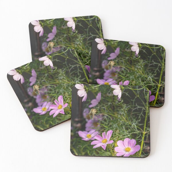 Item preview, Pink Cosmos Flowers Close-Up designed and sold by Rabee Khalil Photography.