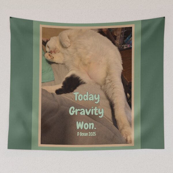 Item preview, Today Gravity Won designed and sold by Oceandiana.