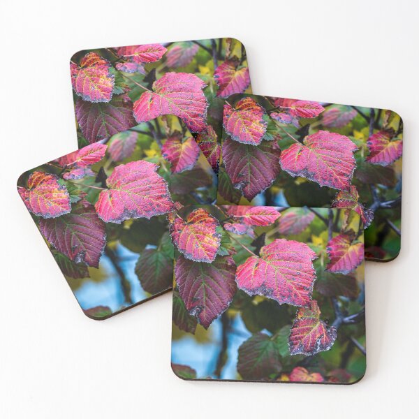 Item preview, Decaying Red Maple Leaves designed and sold by Rabee Khalil Photography.