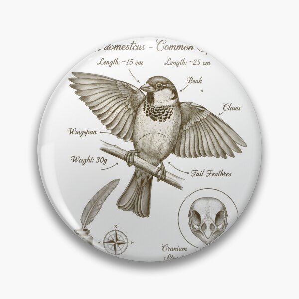 Item preview, Vintage Sparrow T-Shirt| Naturalist Sketch Bird Lover Gift | Ornithology Field Notes Design designed and sold by NatureNookTees.
