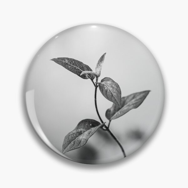 Item preview, Isolated Ivy Branch (Black and White) designed and sold by Rabee Khalil Photography.