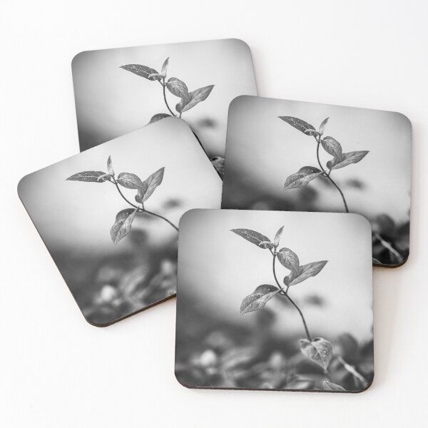Item preview, Isolated Ivy Branch (Black and White) designed and sold by Rabee Khalil Photography.