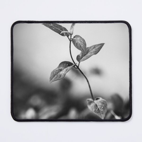 Item preview, Isolated Ivy Branch (Black and White) designed and sold by Rabee Khalil Photography.