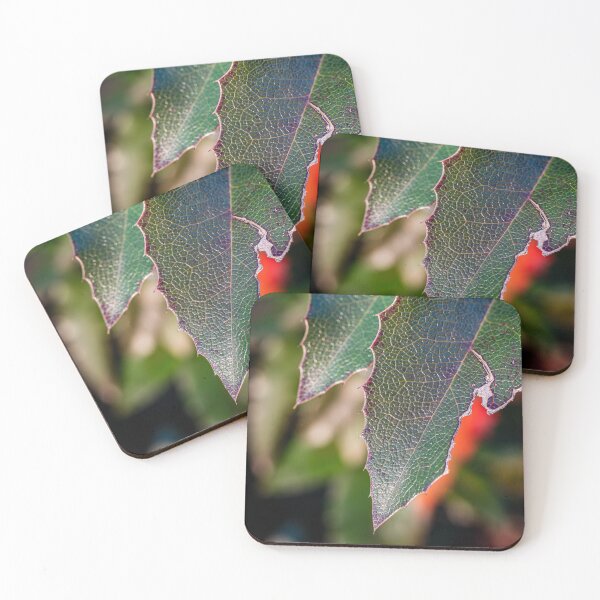 Item preview, Mahonia Leaves Macro designed and sold by Rabee Khalil Photography.