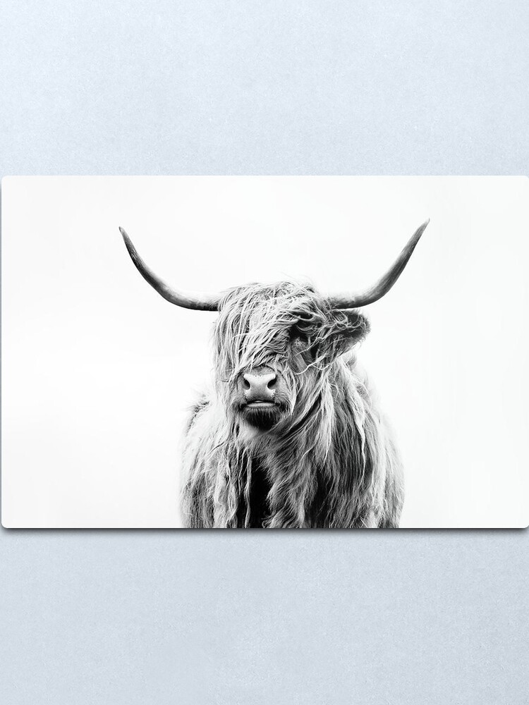Alternate view of B+W Highland cow Metal Print