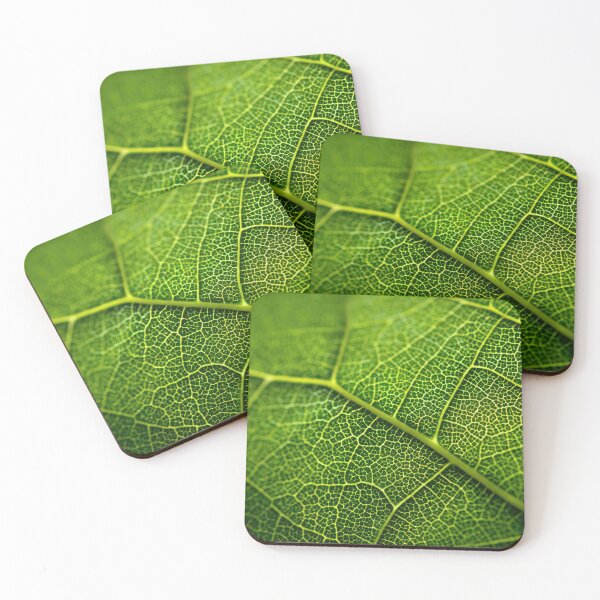 Item preview, Close look at leaf texture and veins designed and sold by anytka.