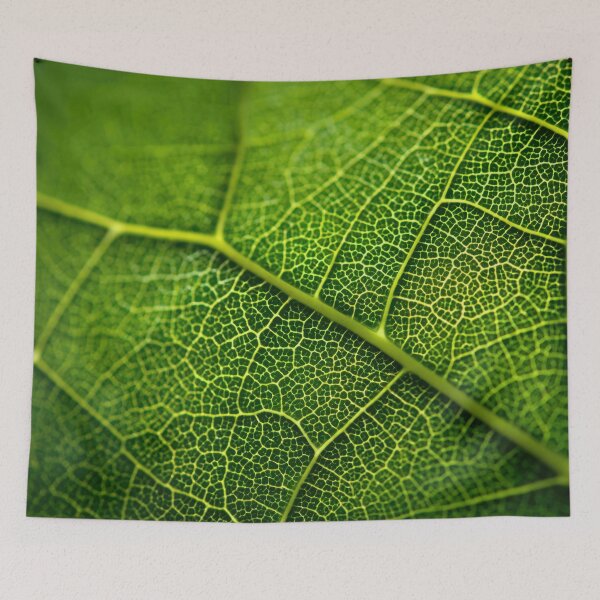 Item preview, Close look at leaf texture and veins designed and sold by anytka.