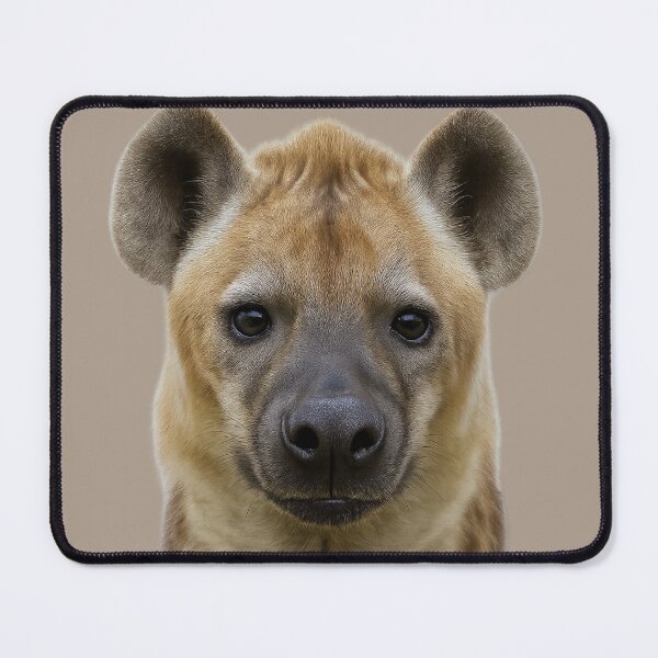 Item preview, Hyena Wildface Artwork – Realistic Wildlife Portrait designed and sold by BROHLine Studio.