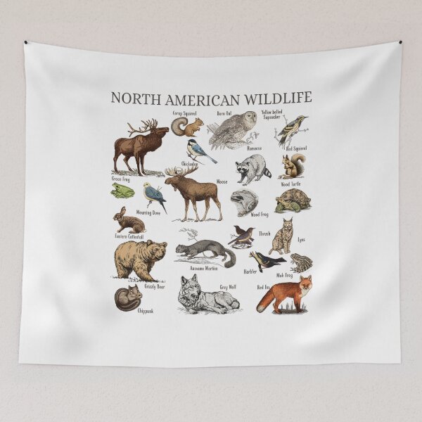 Artikelvorschau, Nordamerikanische Wildtiere Vintage 90er Jahre Unisex, Retro-Waldtiere, Bär, Camping-Naturliebhaber, Forestcore Nature Y2k entworfen und verkauft von DesignDenDo ⭐⭐⭐⭐⭐.