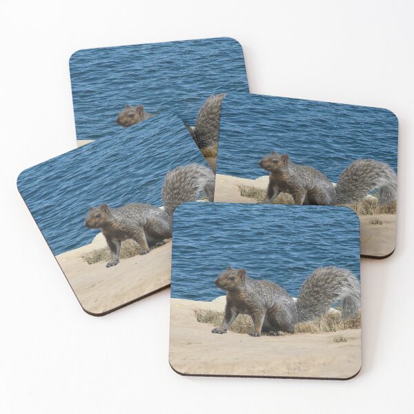 Item preview, Happy Squirrel By the Sea designed and sold by heatherfriedman.