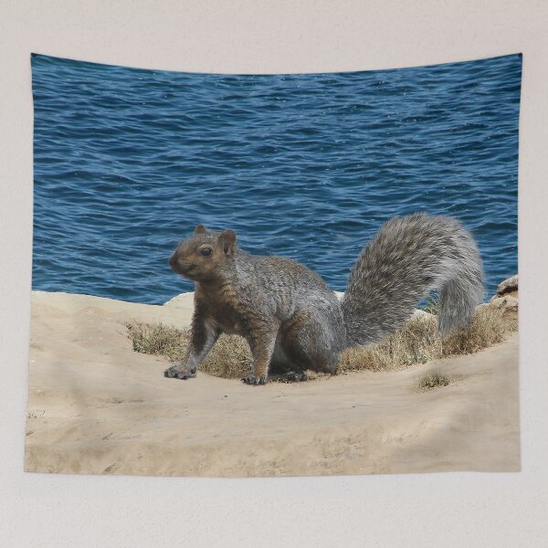 Item preview, Happy Squirrel By the Sea designed and sold by heatherfriedman.