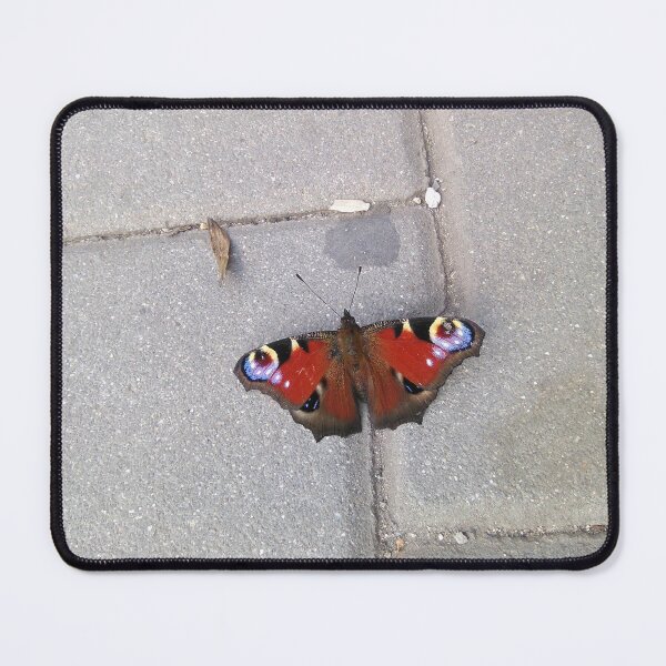 Item preview, Red butterfly designed and sold by mariya-ivanova.