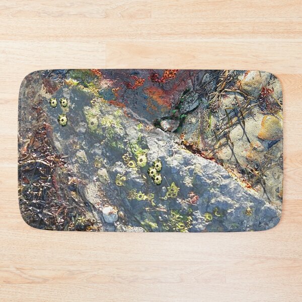 Item preview, barnacle rock designed and sold by sirenas.