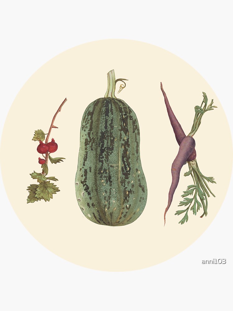 Vegetable plate by anni103