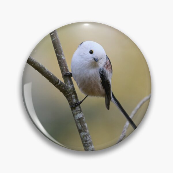 Item preview, Curiosity. Long-tailed tit designed and sold by Jouko Lehto Photography.