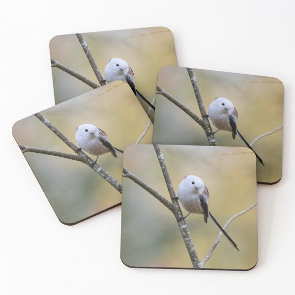 Item preview, Curiosity. Long-tailed tit designed and sold by Jouko Lehto Photography.