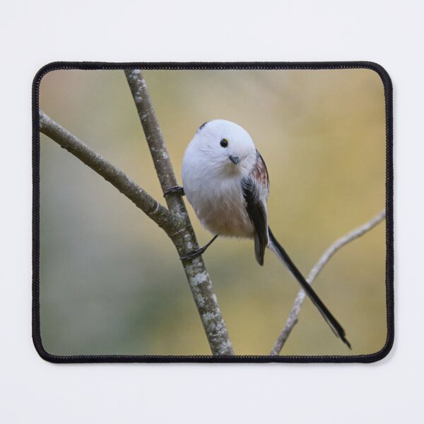 Item preview, Curiosity. Long-tailed tit designed and sold by Jouko Lehto Photography.