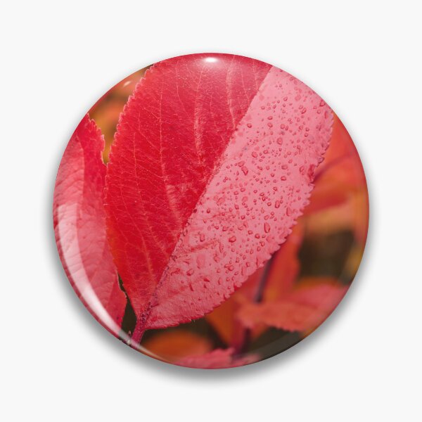 Item preview, The red. Purple chokeberry designed and sold by Jouko Lehto Photography.