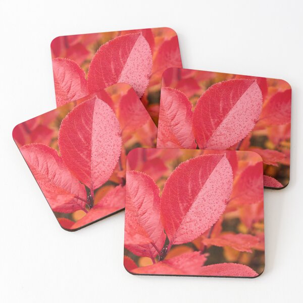 Item preview, The red. Purple chokeberry designed and sold by Jouko Lehto Photography.