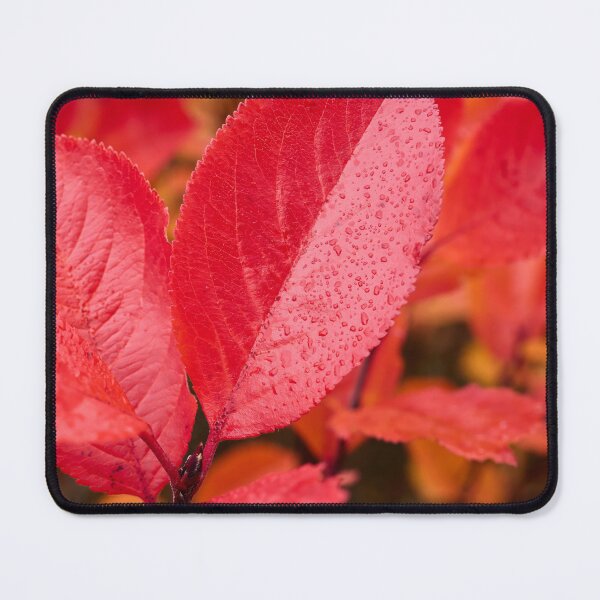 Item preview, The red. Purple chokeberry designed and sold by Jouko Lehto Photography.