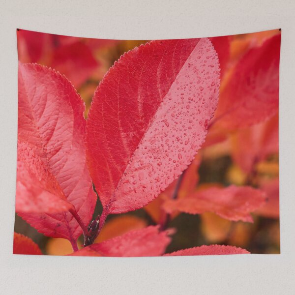 Item preview, The red. Purple chokeberry designed and sold by Jouko Lehto Photography.