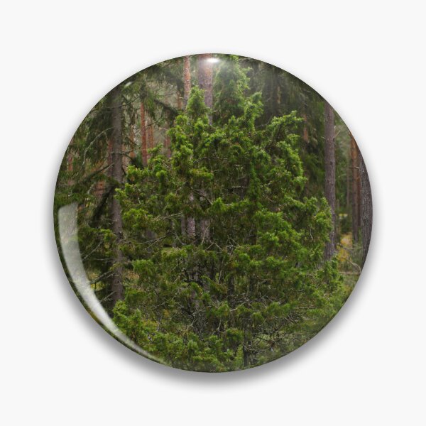 Item preview, Juniper autumn. Nokia landscapes 2025 designed and sold by Jouko Lehto Photography.