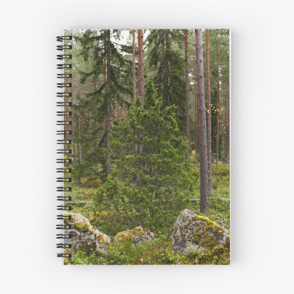Artikelvorschau, Wacholder im Herbst. Nokia Landschaften 2025 entworfen und verkauft von Jouko Lehto Photography.
