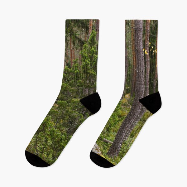 Item preview, Juniper autumn. Nokia landscapes 2025 designed and sold by Jouko Lehto Photography.