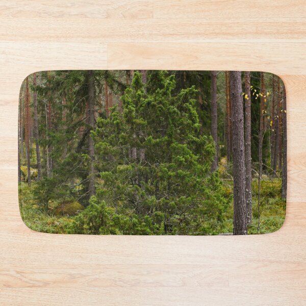 Item preview, Juniper autumn. Nokia landscapes 2025 designed and sold by Jouko Lehto Photography.