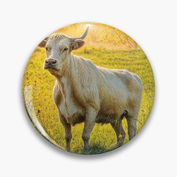 Item preview, Charolais bull #1 designed and sold by Helios Be. Lavsh.