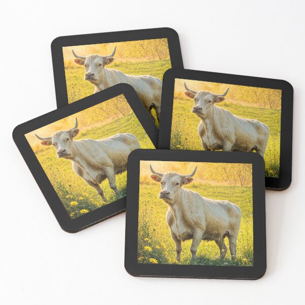 Item preview, Charolais bull #1 designed and sold by Helios Be. Lavsh.