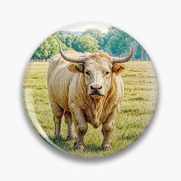Item preview, Charolais bull #3 designed and sold by Helios Be. Lavsh.