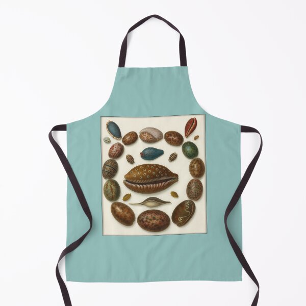 Item preview, Vintage Conchological Print: Shells designed and sold by Tridentulus.