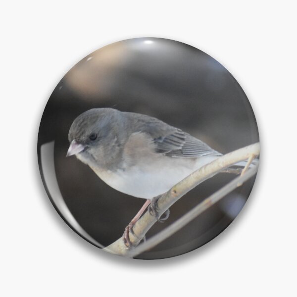 Item preview, Dark eyed Junco 2025 designed and sold by Tonia Delozier's Photography .