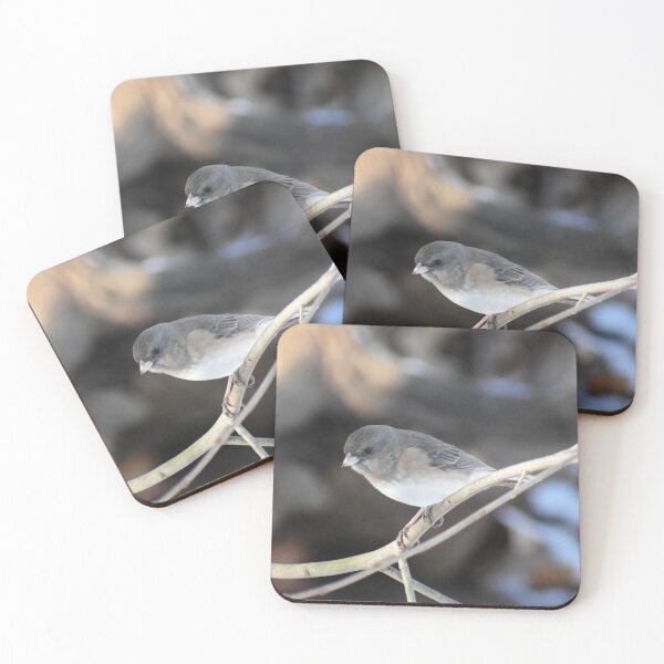 Item preview, Dark eyed Junco 2025 designed and sold by Tonia Delozier's Photography .