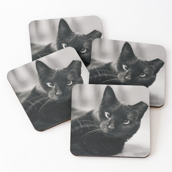 Item preview, Relaxed Black Cat in Soft Light designed and sold by mossysparkles.