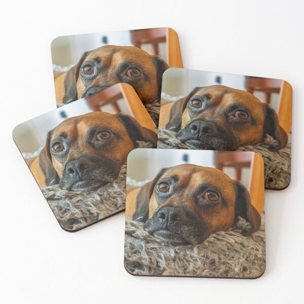 Item preview, Sweet Dog Resting in Cozy Bed designed and sold by mossysparkles.