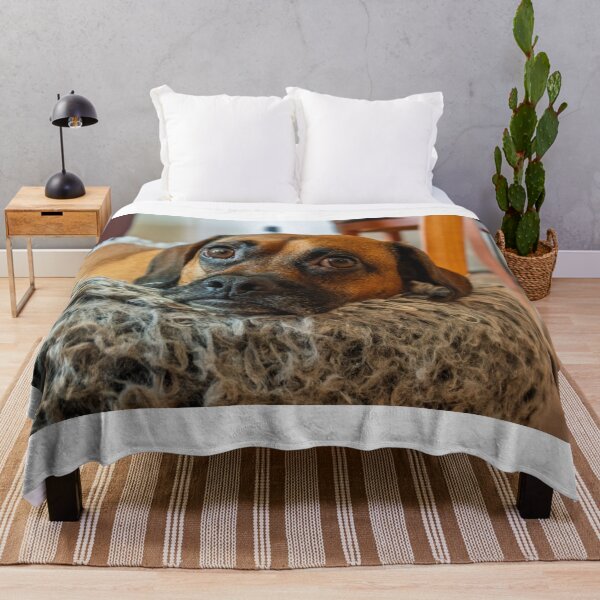 Item preview, Sweet Dog Resting in Cozy Bed designed and sold by mossysparkles.
