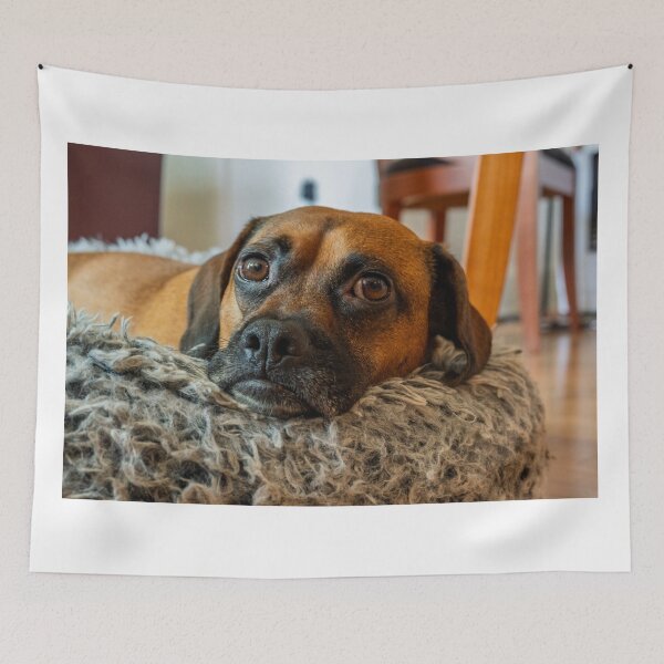 Item preview, Sweet Dog Resting in Cozy Bed designed and sold by mossysparkles.