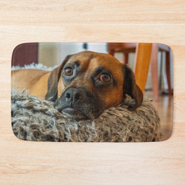Item preview, Sweet Dog Resting in Cozy Bed designed and sold by mossysparkles.