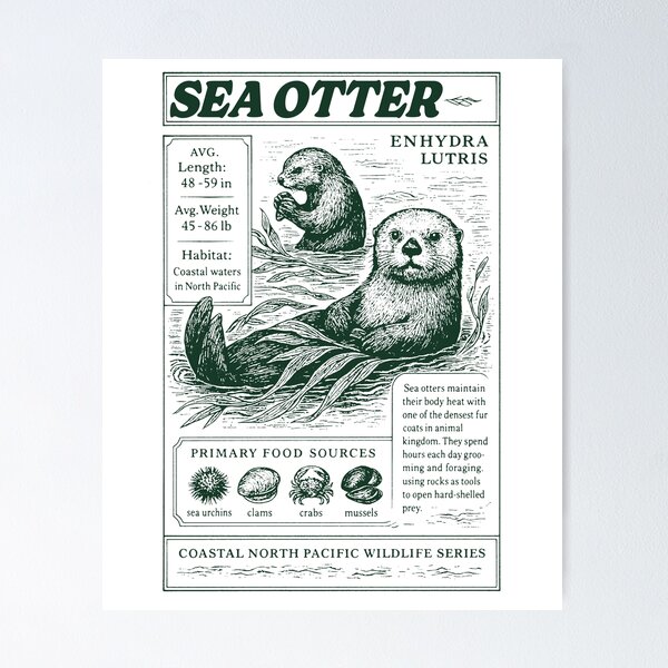 Item preview, Vintage Sea Otter Lover History Poster Style designed and sold by CARBONARA LLC..